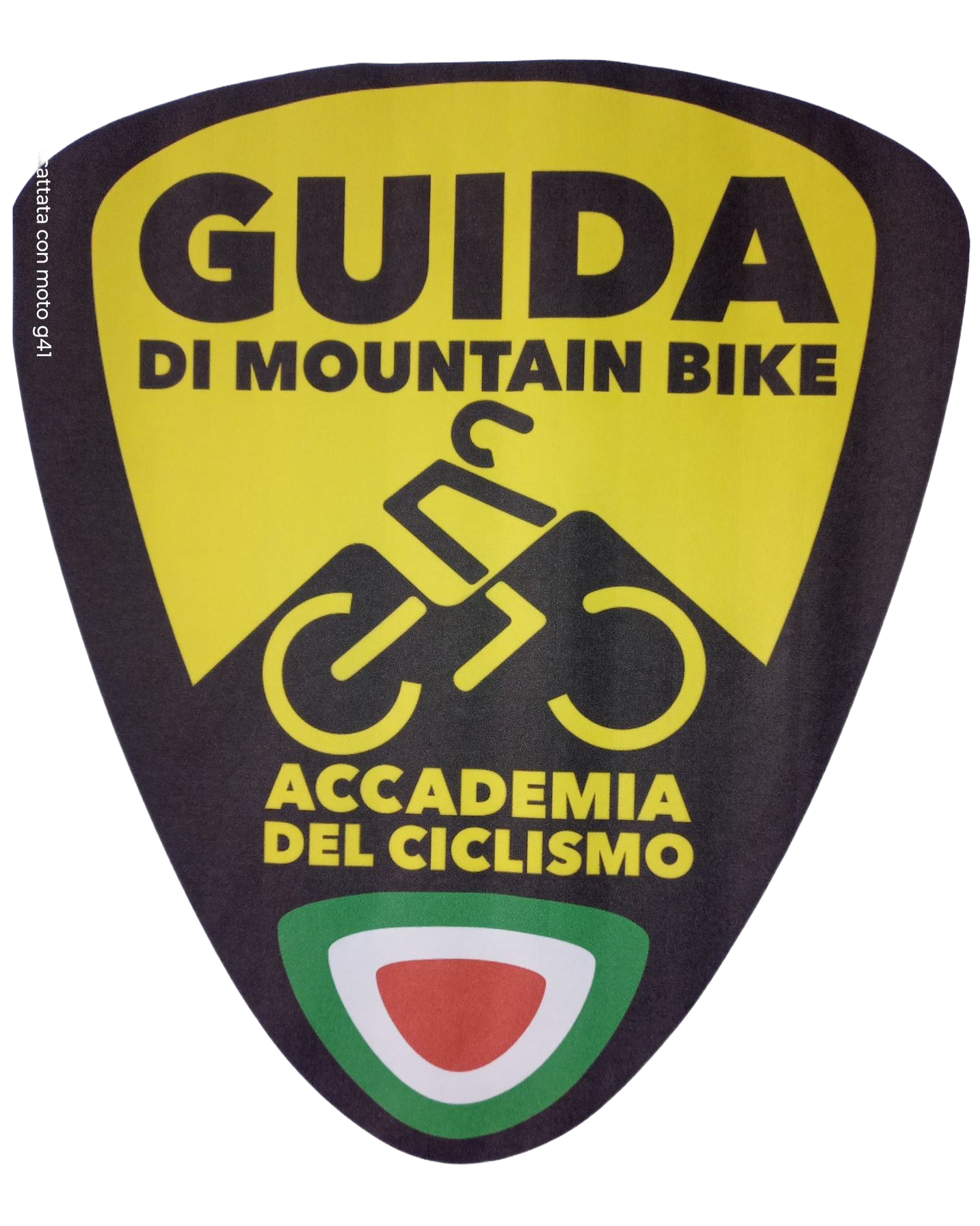 Rimuovi lo sfondo dall'immagine dello stemma/logo appena sotto il pulsante 'Scopri i tour' nella sezione 'Chi siamo'